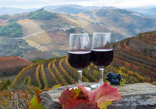 Tasting of Portuguese fortified dessert and dry port wine, produced in Douro Valley with colorful terraced vineyards on background in autumn, Portugal