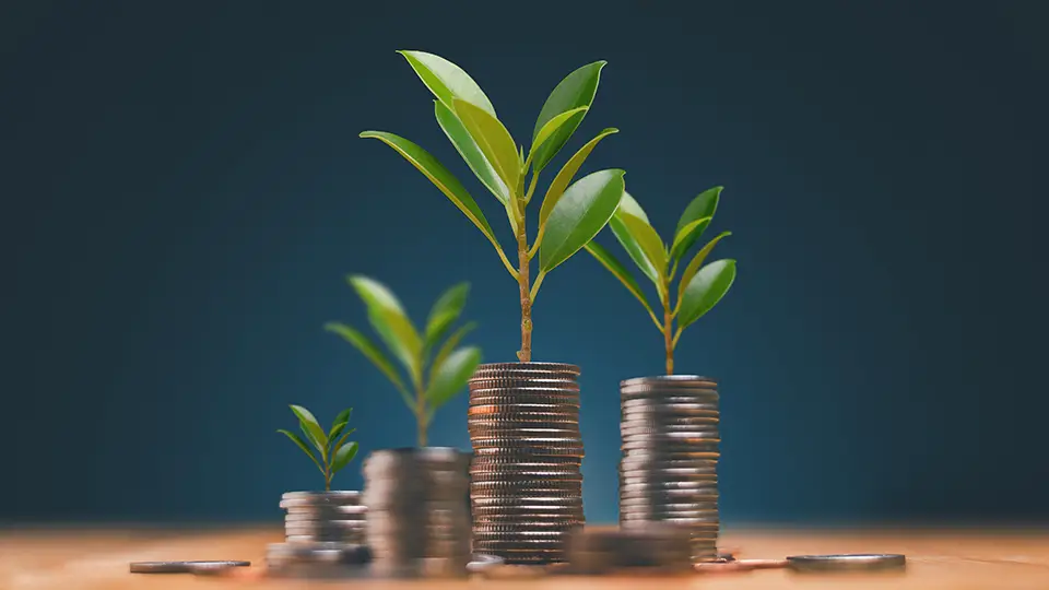 Economic growth, saving money and business ideas concept, The trees is growing on the pile of coins on wooden table, Financial or money growing.